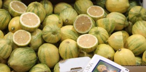 pink variegated lemons