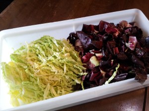 savoy cabbage and radicchio from Remo's garden