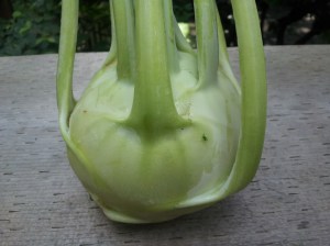 green kohlrabi