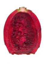 red cactus pear
