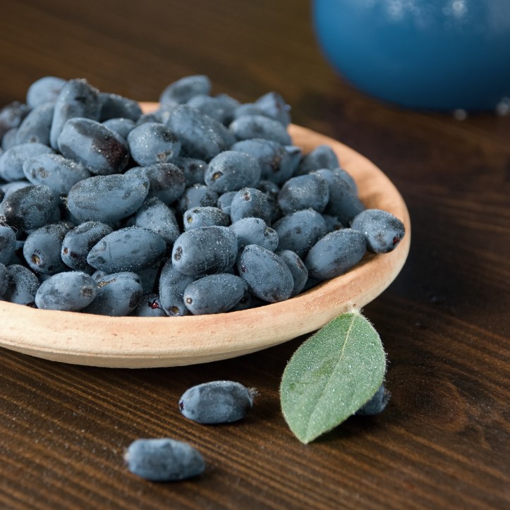 haskap berries courtesy Shutterstock