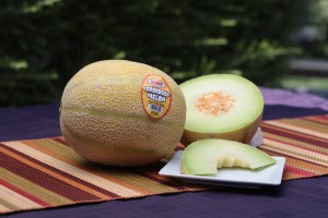 Lemondrop melon courtesy Martori Farms