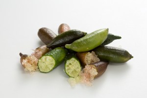 finger limes