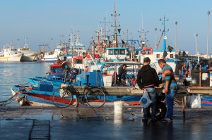 Trapani fishing boats