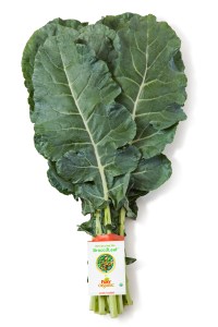 BroccoLeaf